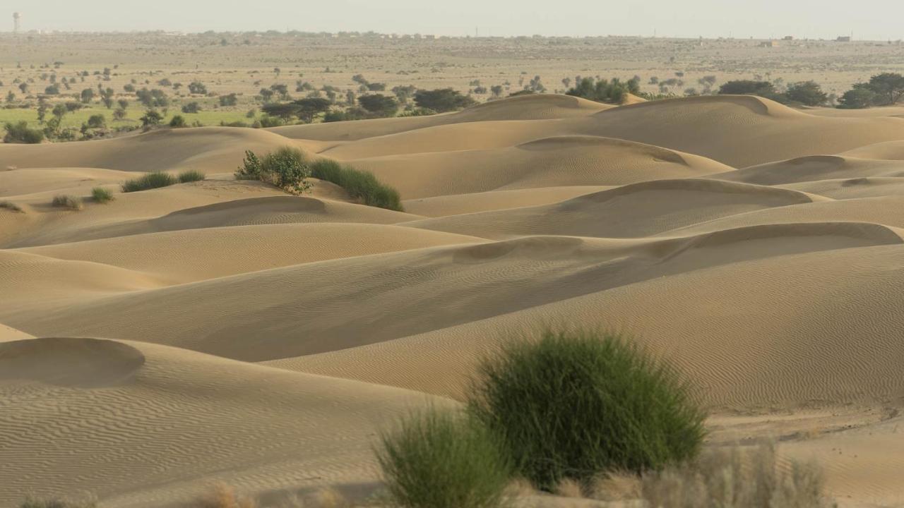 Hotel Helsinki House Jaisalmer Exteriör bild